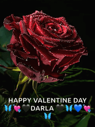 Red Rose Happy Valentine Day Darla GIF
