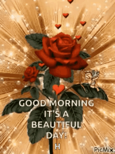 Red Rose Hearts Good Morning It's a Beautiful Day!