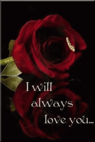 Red Rose I Will Always Love You