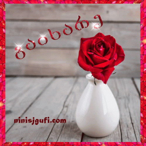 Red Rose in White Vase