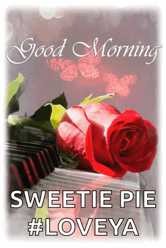 Red Rose On Piano Keyboard Good Morning Sweetie Pie Loveya GIF