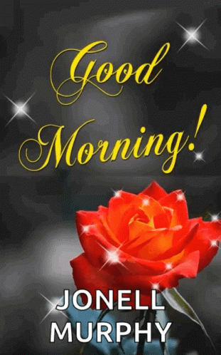 Red Rose Saying Good Morning Jonell Murphy