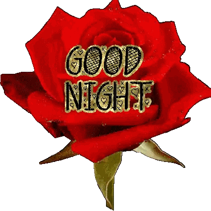 Red Rose Saying Good Night