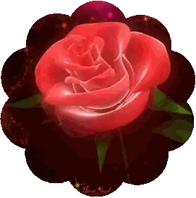 Red Rose Surrounded by Green Leaves