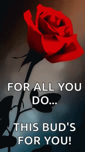 Red Rose Thank You For All You Do GIF