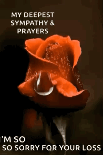 Red Rose Water Drop My Deepest Sympathy & Prayers