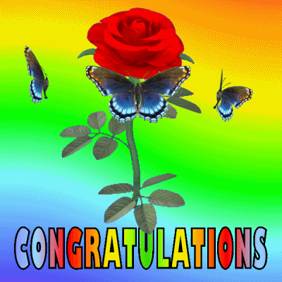 Red Rose Well Done Congratulations GIF