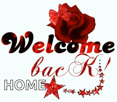 Red Rose with Bow Welcome Back