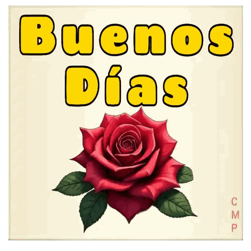 Red Rose with Buenos Dias