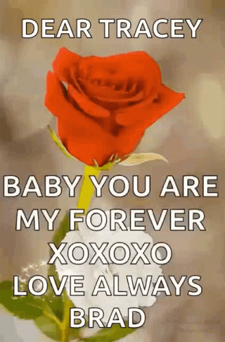 Red Rose with Dear Tracey Message