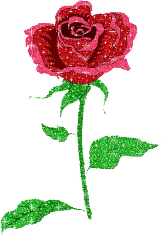Red Rose with Green Leaves