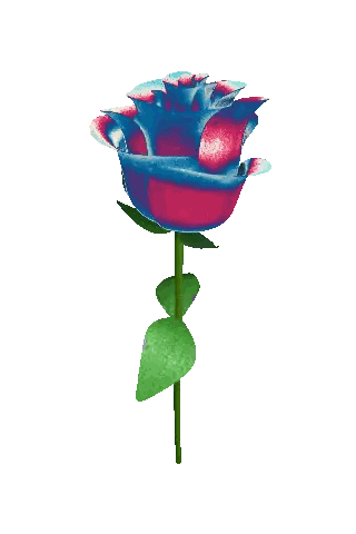 Red Rose with Green Stem and Leaves