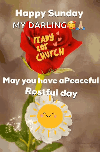 Red Rose With Happy Sunday My Darling