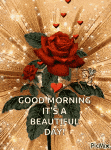 Red Rose With Hearts Good Morning It's a Beautiful Day