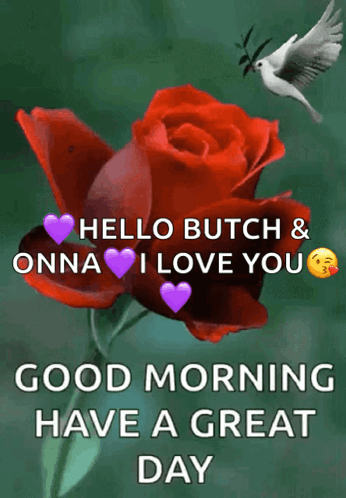 Red Rose with Purple Hearts Good Morning Have a Great Day