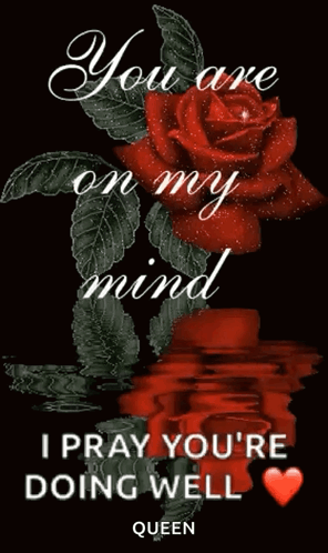 Red Rose You Are On My Mind GIF