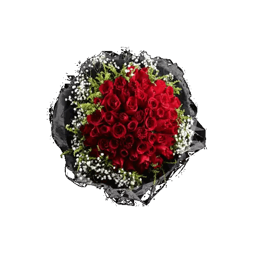 Red Roses and Baby's Breath in Black Paper