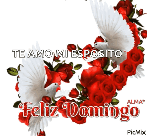 Red Roses And White Doves Te Amo Mi Esposito Feliz Domingo GIF