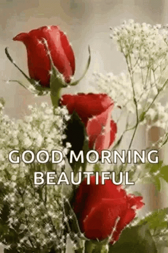 Red Roses and White Flowers Bouquet Good Morning Beautiful