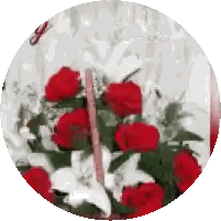 Red Roses and White Lilies in Basket