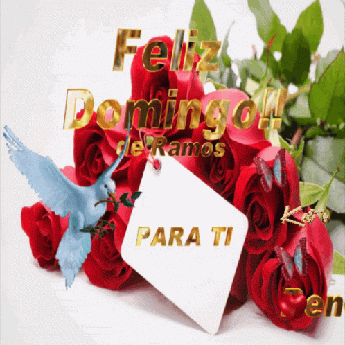Red Roses Bouquet Feliz Domingo
