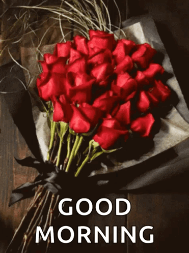 Red Roses Bouquet Good Morning