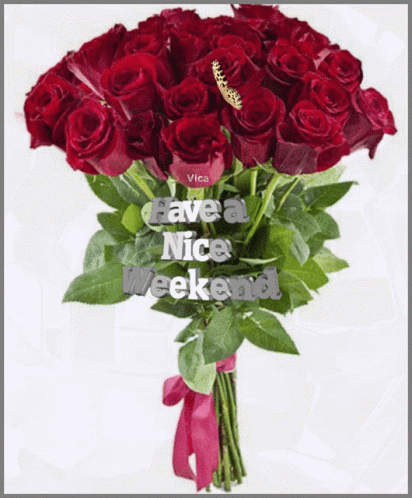 Red Roses Bouquet Have a Nice Weekend