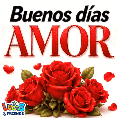 Red Roses Buenos Días Amor GIF