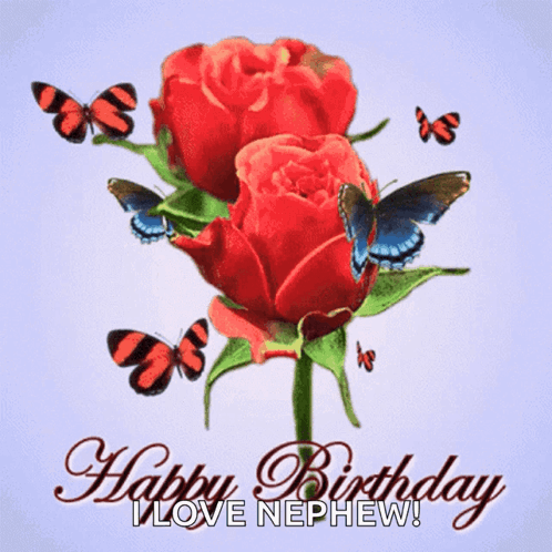 Red Roses Butterflies Happy Birthday I Love Nephew