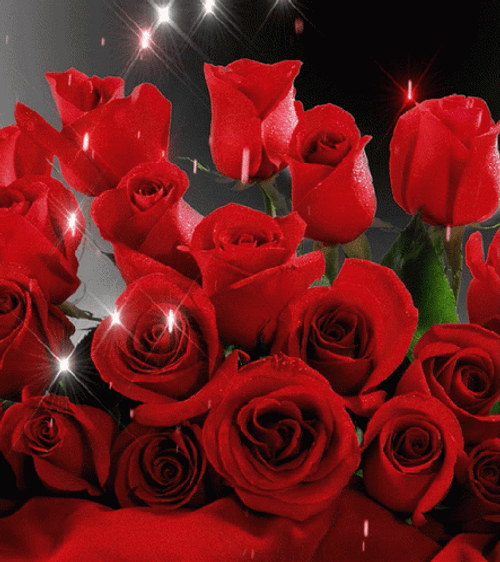 Red Roses Glitters GIF