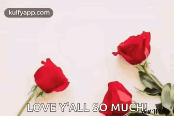 Red Roses Happy Anniversary Greeting Card Wishing You Both