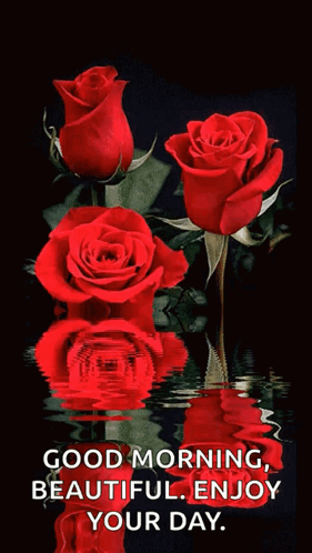 Red Roses Reflected in Water