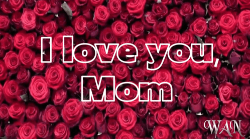 Red Roses Saying I Love You Mom GIF