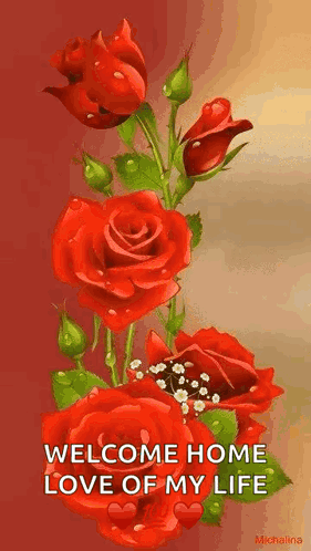 Red Roses Welcome Home Love