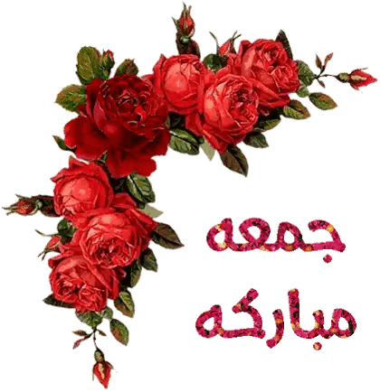 Red Roses with Arabic Writing