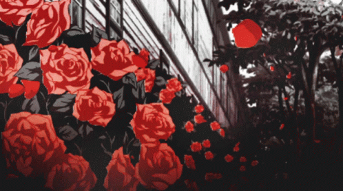 Red Roses With Black Leaves GIF
