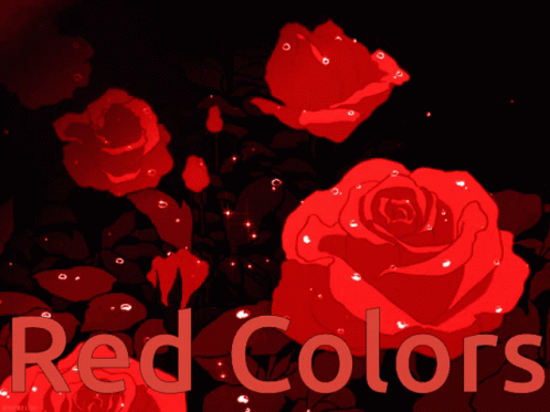 Red Roses with Red Colors Text