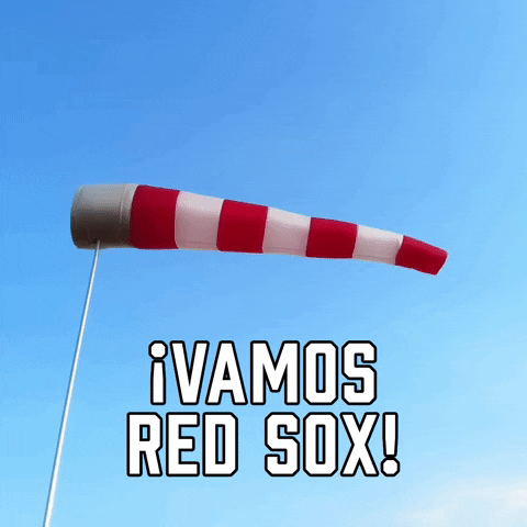 Red Sox 480 X 480 Gif GIF