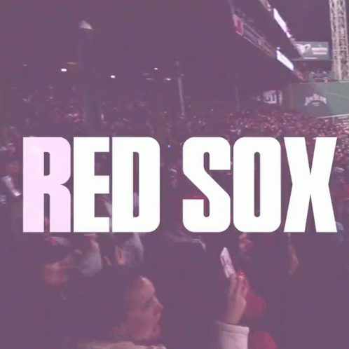 Red Sox Sign in Crowd