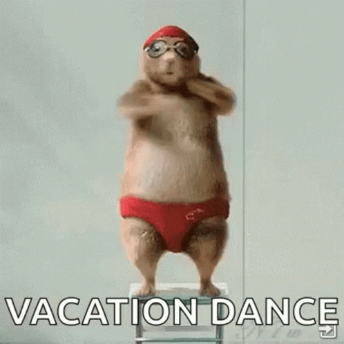 Red Swim Trunks Hamster with Goggles on Ladder