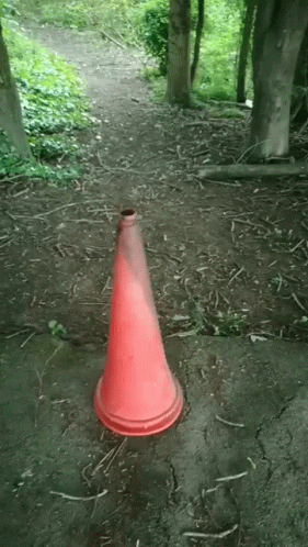 Red Traffic Cone in Woods