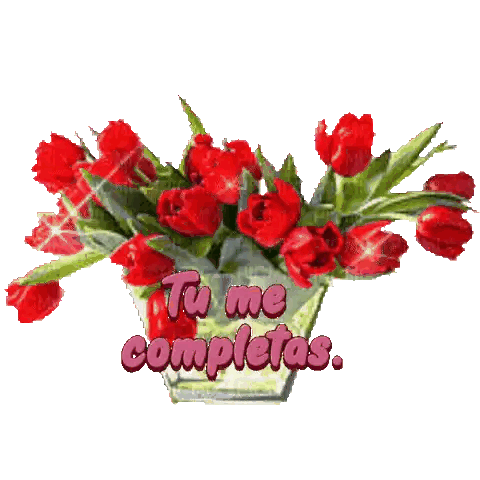 Red Tulips Bouquet With Tu Me Completas