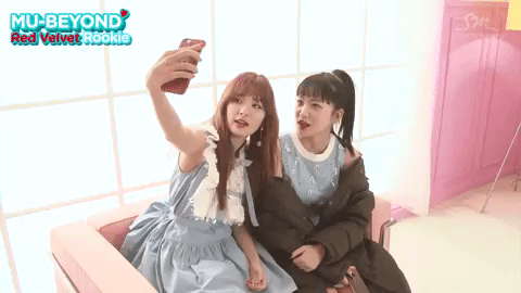 Red Velvet Yeri And Seulgi Selfie GIF