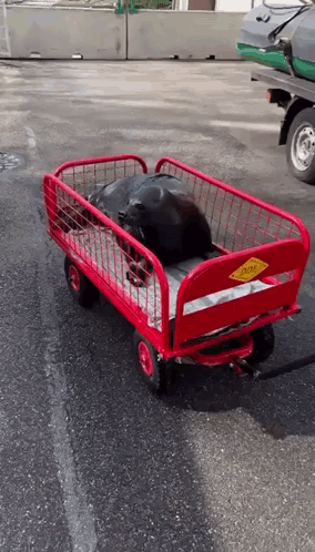Red Wagon With Pure Sign