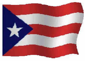 Red White And Blue Flag With Star GIF