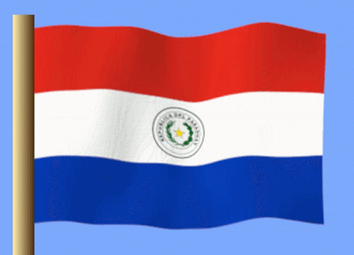 Red White And Blue Paraguay Flag GIF