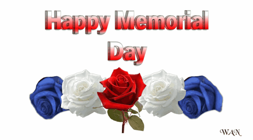 Red White and Blue Roses Saying Happy Memorial Day