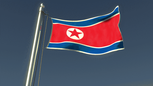 Red White And Blue Star Flag GIF