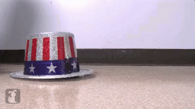 Red White and Blue Top Hat With Stars