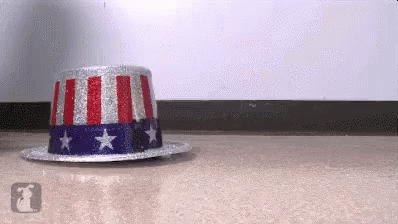 Red White and Blue Top Hat With Stars